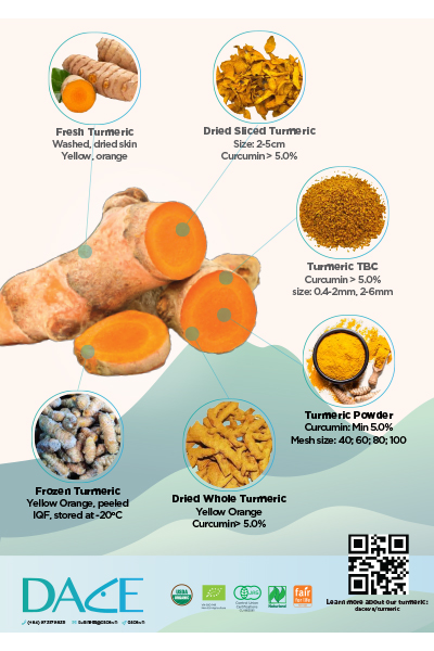 Dace Turmeric Brochure