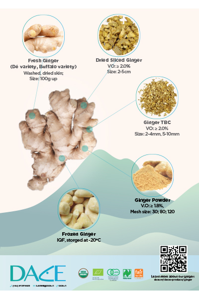 Dace Ginger Brochure