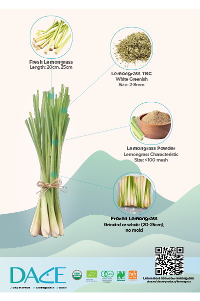 Dace Lemongrass Brochure