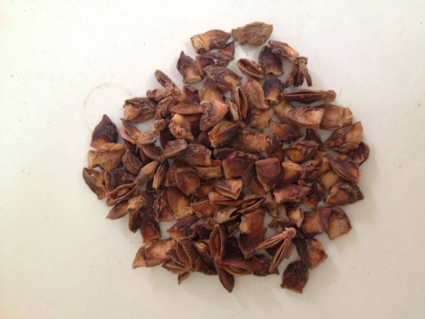 TBC anise