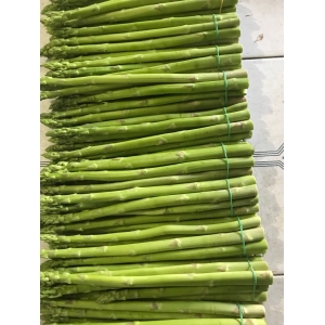 Fresh asparagus