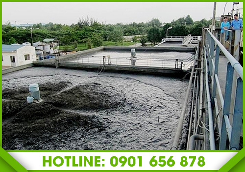 Waste sludge treatment