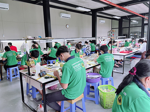 TT Beauty factory image