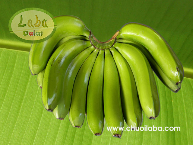 Laba banana