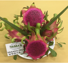 Red flesh dragon fruit