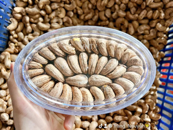 Cashews