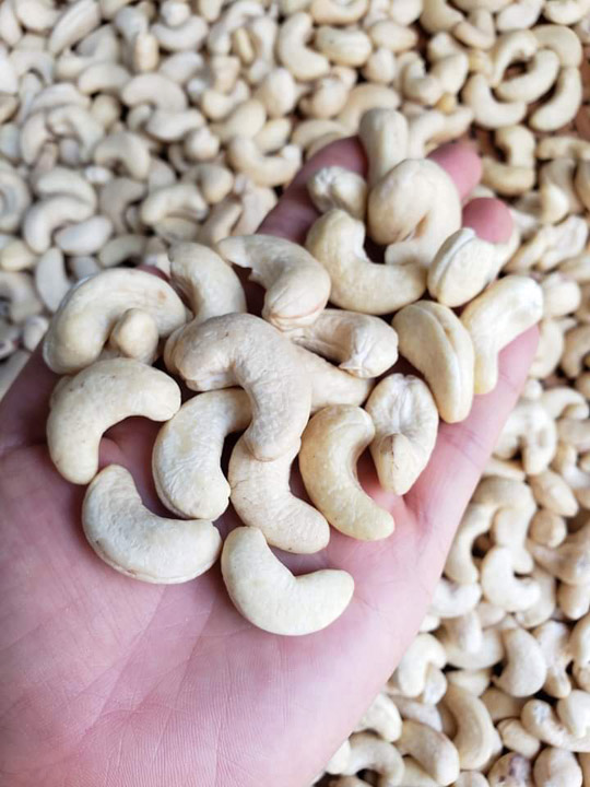 Shelled cashews