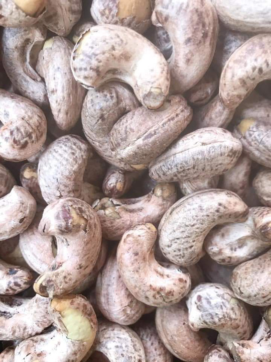 Unpeeled cashew nuts