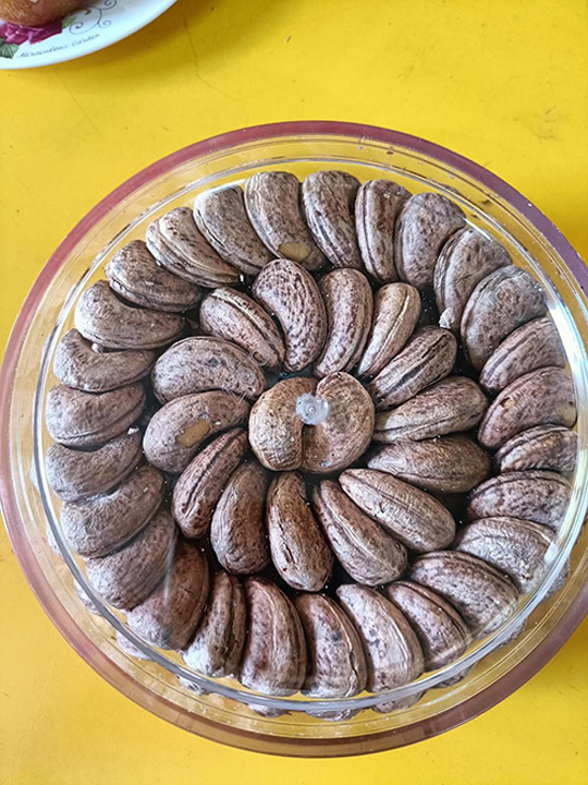 Cashews