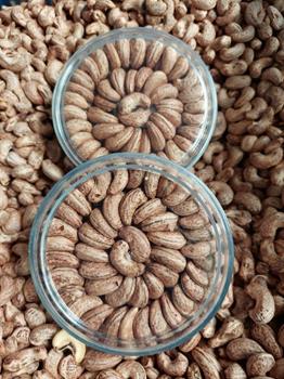 Unpeeled cashew nuts