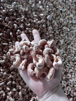 Cashews