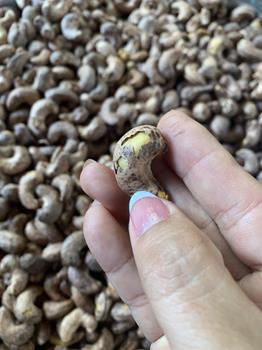 Cashews