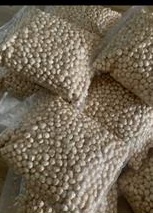Macadamia nuts