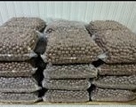 Macadamia nuts
