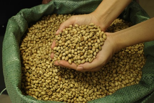 Culi Robusta coffee