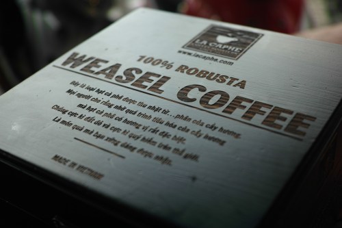 Weasel coffee