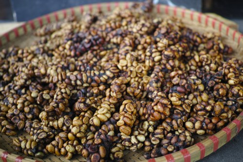 Robusra weasel coffee