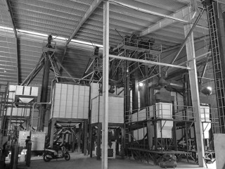 Green coffee processing plant