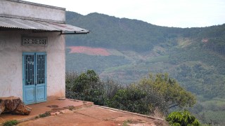 Coffee farm