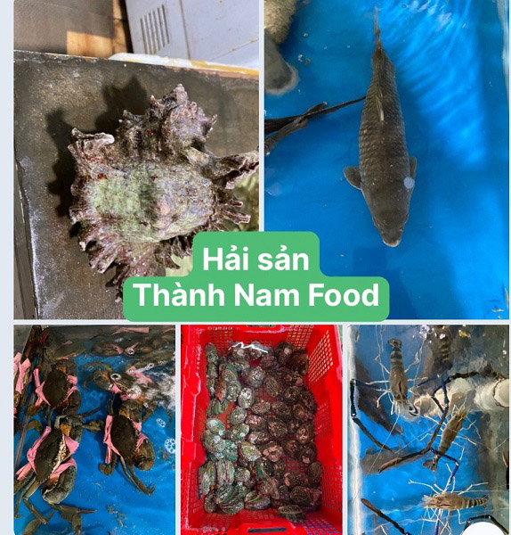 Seafood