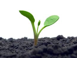 Discharge permits consulting