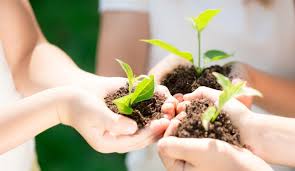 Environmental protection plan