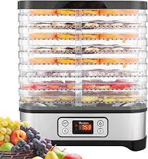 Fruit dryer