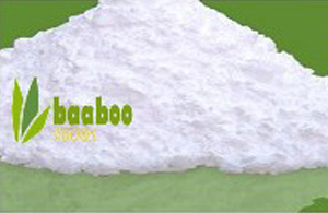 Modified Starch