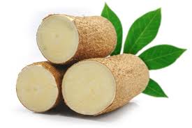 Cassava