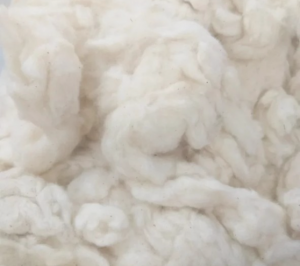 Recycled cotton
