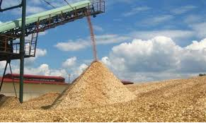 Woodchips
