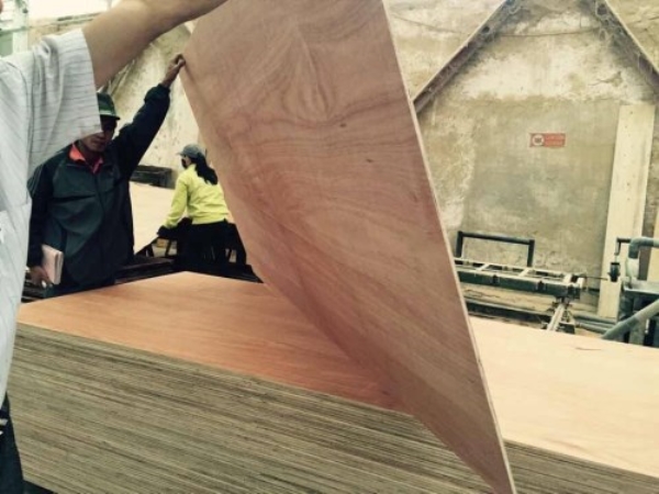 Sohu packing plywoods