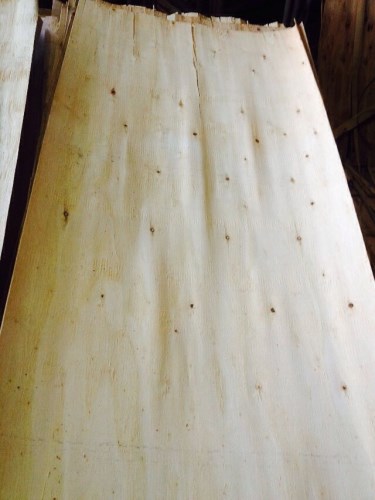 Veneer plywood