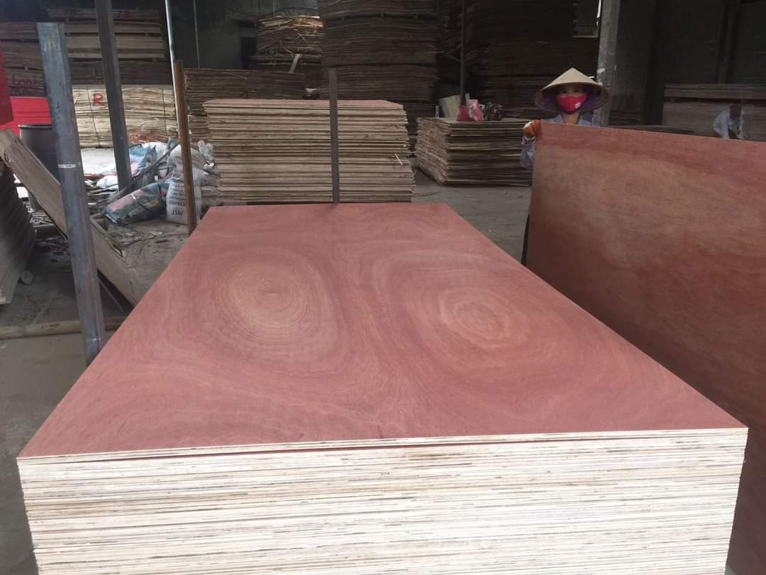 Plywoods for Sohu furniture