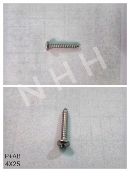 P+AB 4x25 screw