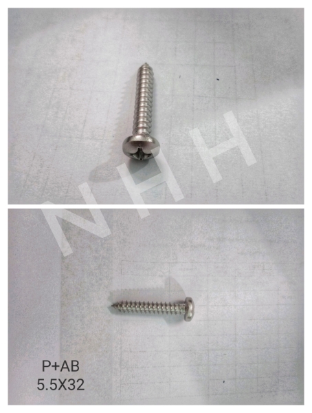 P+AB 5.5x32 screw