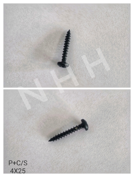 P+C/S 4x25 screw
