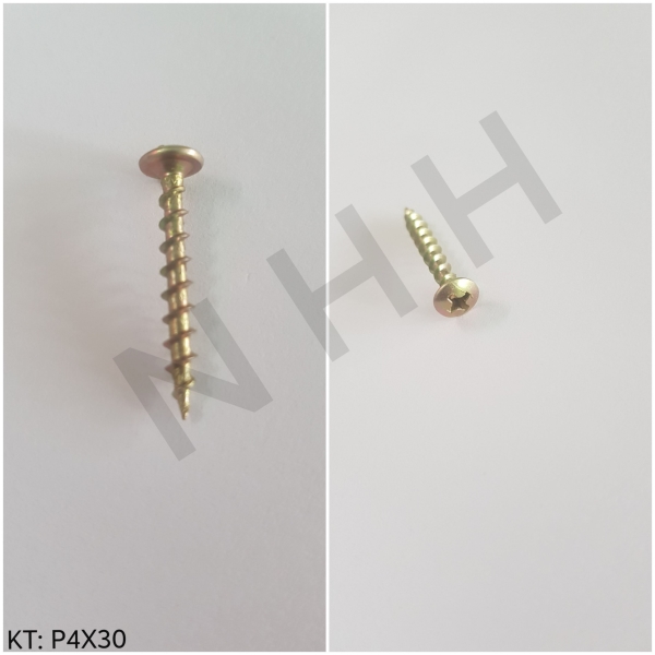P4x30 screw