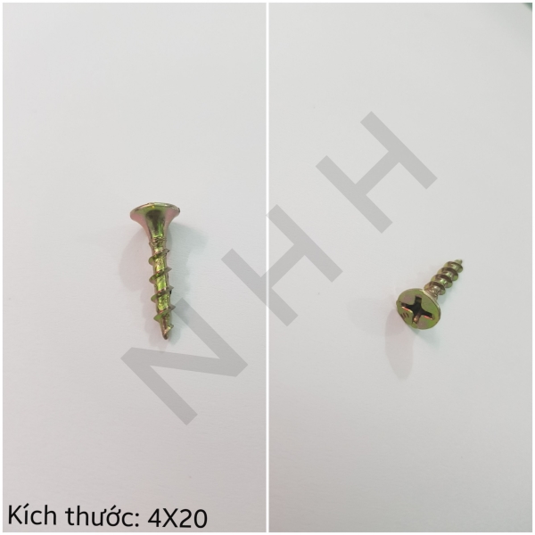 4x20 screw