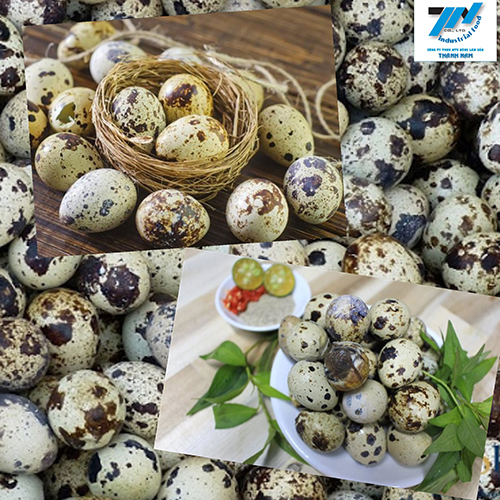 Poultry eggs