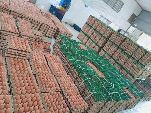 Poultry eggs