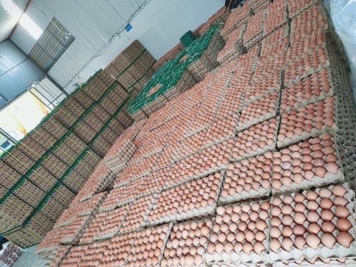 Poultry eggs