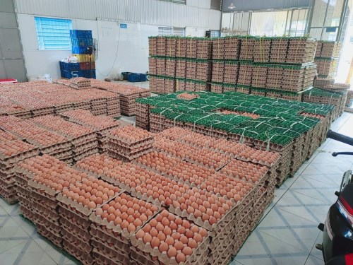 Poultry eggs
