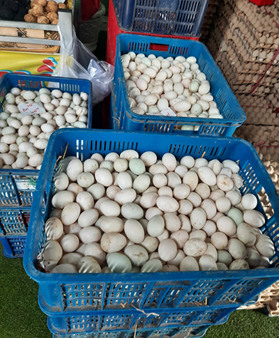 Poultry eggs