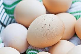 Washing chicken egg