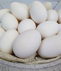 Goose egg