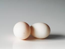 Duck egg