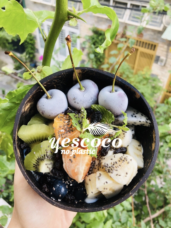 Coconut bowls
