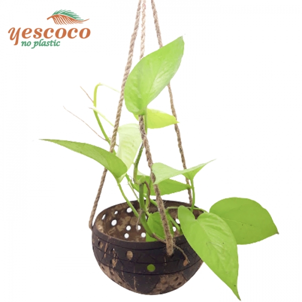 Coconut shell hanging planter
