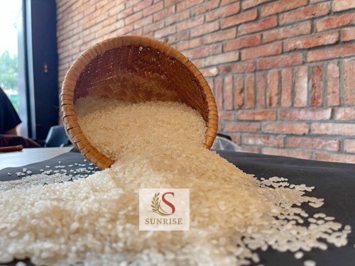 Rice